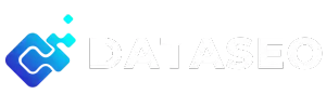 DataSeo Agencia Diseño Web